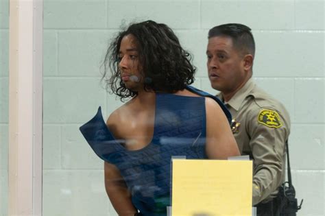 Man accused of killing California cop pleads not guilty due to insanity